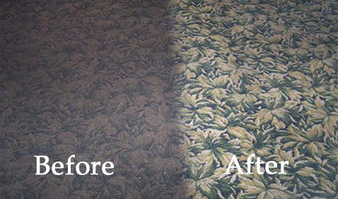 Johnson Custom Carpet Cleaning Chemical Free Quick Dry Cleaning
